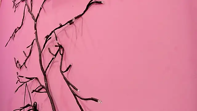 Liam evvan online show from January 13, 2:59 am