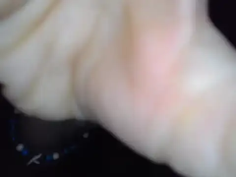 Miss Nona online show from January 9, 6:09 am