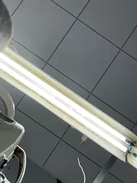 DHJM168 online show from December 16, 1:21 am