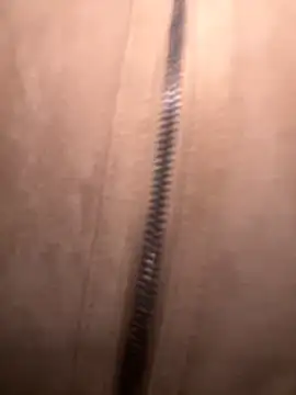 FroggyAnna online show from November 1, 3:39 pm