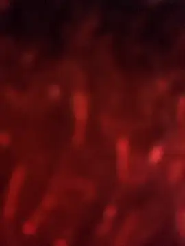 julieta evanns1 online show from September 25, 11:27 am