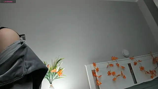 AuroraVice online show from November 27, 6:03 am