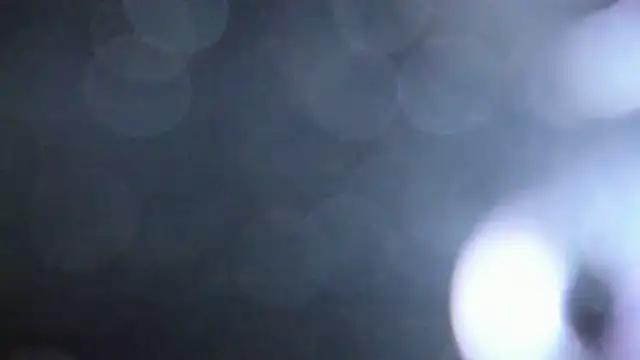 Snapshot of Luna_Analya chatting on February 5, 1:40 pm Luna Analya online show from February 5, 1:40 pm