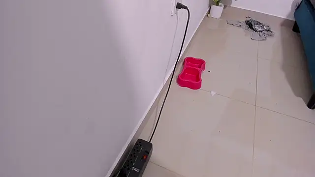 Rihanna hotx online show from December 21, 3:30 am