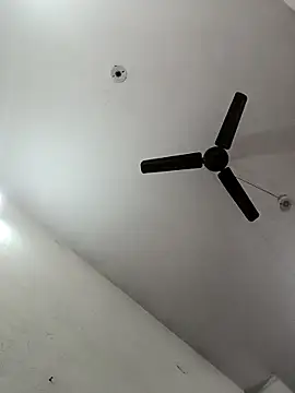 Appypie online show from December 23, 6:34 am