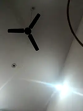 Appypie online show from November 18, 5:44 am