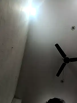 Appypie online show from December 15, 5:35 am