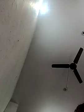 Appypie online show from November 5, 7:33 am