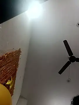 Appypie online show from January 14, 11:52 pm