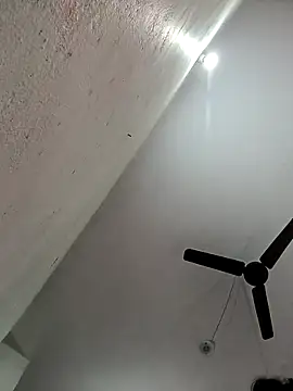 Appypie online show from November 11, 5:46 am