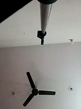 Appypie online show from November 9, 6:39 am