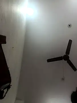 Appypie online show from November 10, 5:01 am