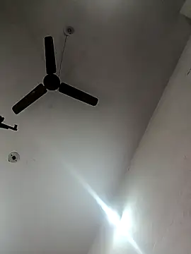 Appypie online show from October 29, 6:01 am