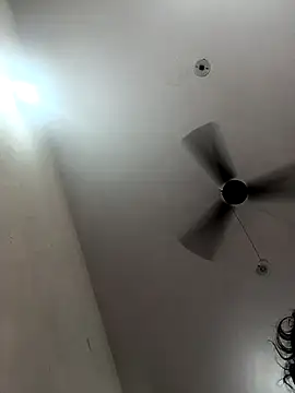 Appypie online show from October 23, 7:18 am