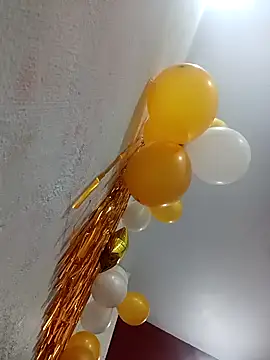 Appypie online show from January 13, 5:22 am