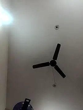 Appypie online show from November 3, 6:07 am