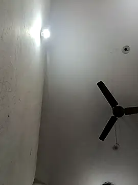 Appypie online show from November 17, 6:39 am