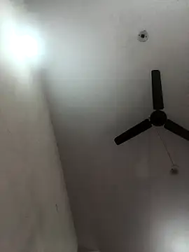 Appypie online show from November 8, 5:55 am