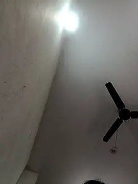 Appypie online show from December 2, 5:42 am