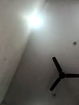 Appypie online show from November 19, 6:35 am