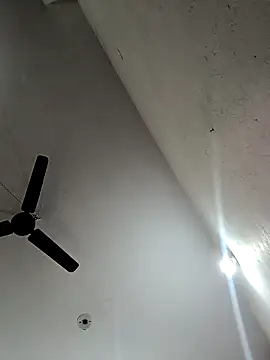 Appypie online show from November 12, 6:39 am