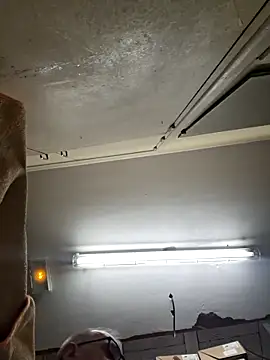 Valen tinx19cm online show from February 28, 11:21 am