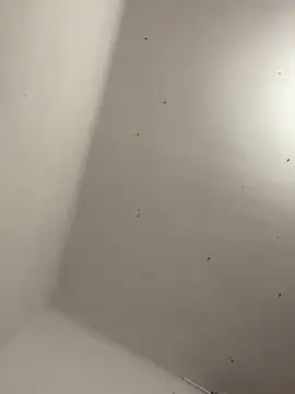 davidxxx099 online show from November 22, 10:30 pm