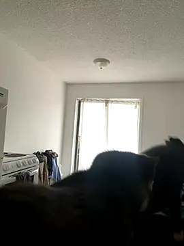 Snapshot of inked_nekoo chatting on December 3, 3:33 pm inked nekoo online show from December 3, 3:33 pm