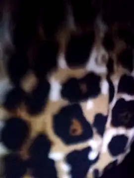 Snapshot of Thaohoa_love chatting on February 22, 9:49 pm Thaohoa love online show from February 22, 9:49 pm