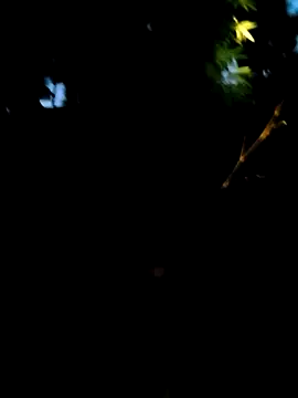 Snapshot of Lisa_pusy chatting on September 14, 10:32 pm Lisa pusy online show from September 14, 10:32 pm