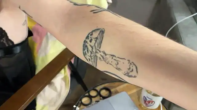 NoaTender online show from January 9, 6:48 pm