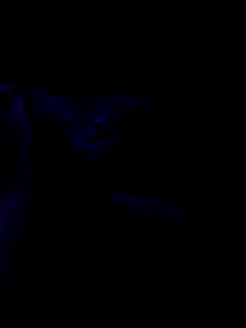 Snapshot of Norbi30 chatting on October 21, 9:03 pm Norbi30 online show from October 21, 9:03 pm