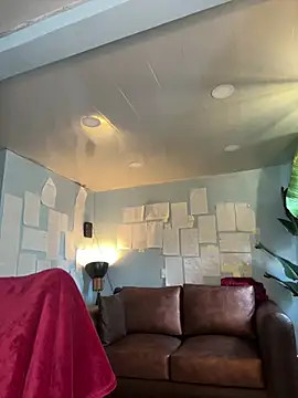 Canneela online show from February 14, 12:49 pm