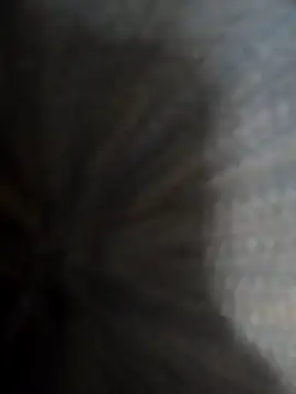 safadomoreno online show from December 20, 4:37 am