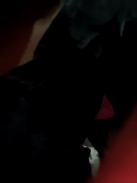 Snapshot of Antique-stickchart-couple chatting on November 11, 12:55 pm Antique-stickchart-couple online show from November 11, 12:55 pm