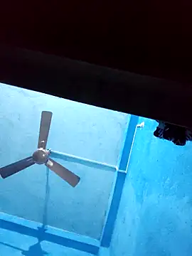 BlackCobraOwner online show from November 28, 1:00 pm