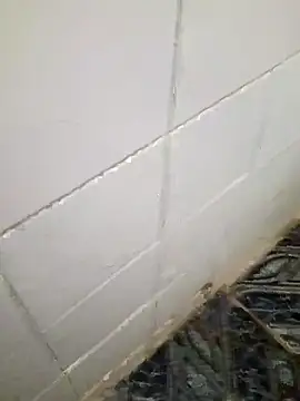 Snapshot of kelvinjesus34 chatting on October 19, 6:38 am kelvinjesus34 online show from October 19, 6:38 am