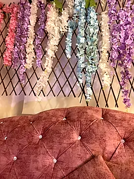 Tegui-sc online show from November 13, 3:54 am