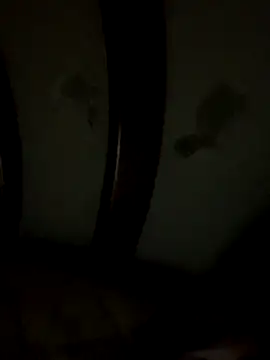 Bruno18cmmmmkk online show from December 19, 3:54 am