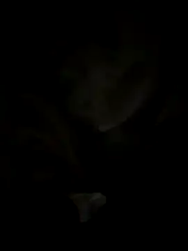 tran my online show from October 29, 5:06 am