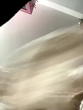 Pyy07 online show from November 9, 12:31 pm