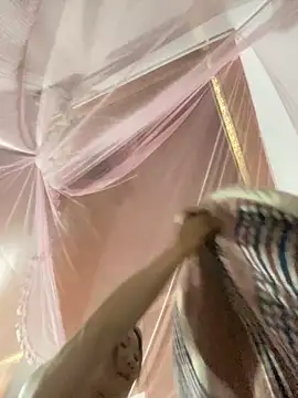 Pyy07 online show from December 20, 1:36 pm