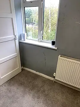 harleybarker online show from October 29, 11:31 am