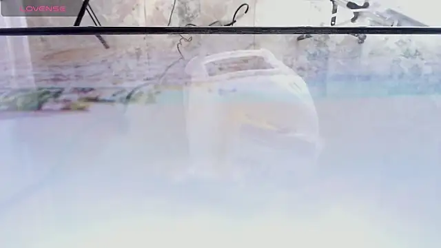 andrealopezcm101 online show from December 15, 12:16 am