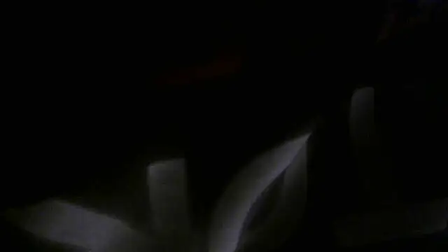 crassanova online show from April 22, 12:34 pm