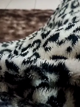 Gauderio40 online show from November 21, 4:11 am