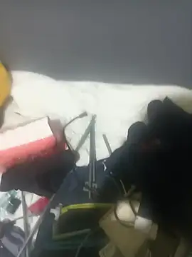 Ardillaxxxx199 online show from November 18, 5:00 am