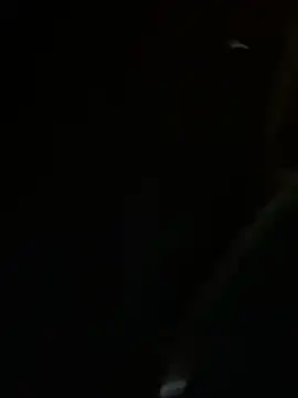 anhkiet huang online show from November 3, 1:47 pm