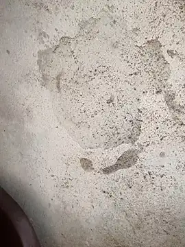 Schii69 online show from December 18, 11:41 pm