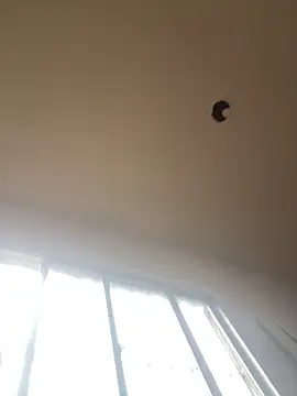 Katianesantos online show from March 1, 1:55 pm